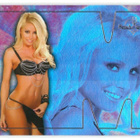 Bench Warmer 2007 There's Something About Mary #5 Mary Riley - pikkukuva 1