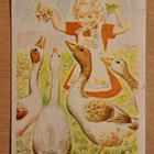 tyttö ruokkii hanhia,  kulkenut 1971 - pikkukuva 1