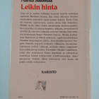 Marita Salomaa : Leikin hinta - pikkukuva 2