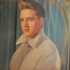 ELVIS - 50,000,000 ELVIS FANS CAN'T BE WRONG EX+ / EX LP - pikkukuva 2