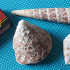 Simpukka kotilo osteri KARTIO mallia - pikkukuva 1