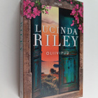 Lucinda Riley : Oliivipuu - pikkukuva 1