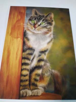 Kissa kortti,kulkematon.