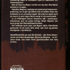 bok, Hjorth & Rosenfeldt - Det fördolda : kriminalroman - pikkukuva 2