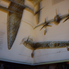 Donald : GERMAN AIRCRAFT OF WORLD WAR II ( 1 p. 1996 ) - pikkukuva 4