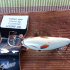 Salmo  Hornet Floating 3SRF 3,5cm DB - pikkukuva 4