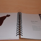 Filtti 10, 1998-2008 - pikkukuva 2