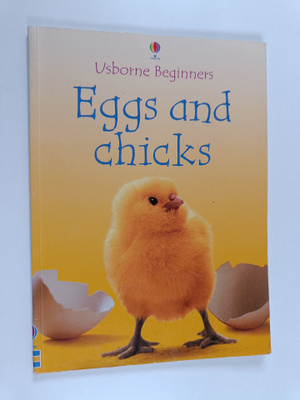 Fiona Patchett : Eggs and Chicks