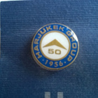Harjukek 50 Pinssi - pikkukuva 2
