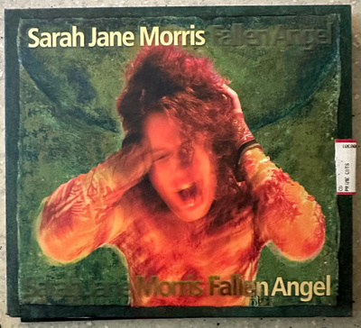[CD] SARAH JANE MORRIS: FALLEN ANGEL