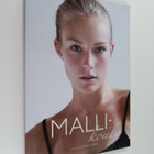 Anniina Salminen-Carrera : Mallikoulu - pikkukuva 1
