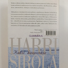 Harri Sirola : Kaksi kaupunkia - pikkukuva 2