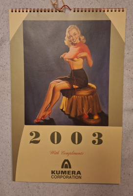 Seinäkalenteri 2003 pin-up