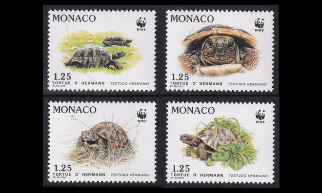 Monaco 2046-9 ** Kilpikonnia (1991)