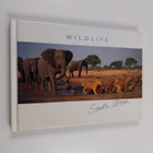Wildlife of South Africa - pikkukuva 1