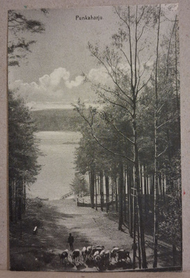 Punkaharju: Rantamaisema *** (1894)