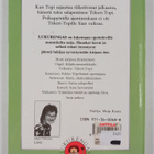 Marja Valkama : Tiikeri-Topi - pikkukuva 2