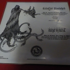 CELESTIAL BLOODSHED / URFAUST M-/M- NORJA 2011 7'' SPLIT - pikkukuva 2