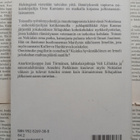 Pekka Jaatinen - Siltajuhlapainajainen: aikalaisgroteski - pikkukuva 2
