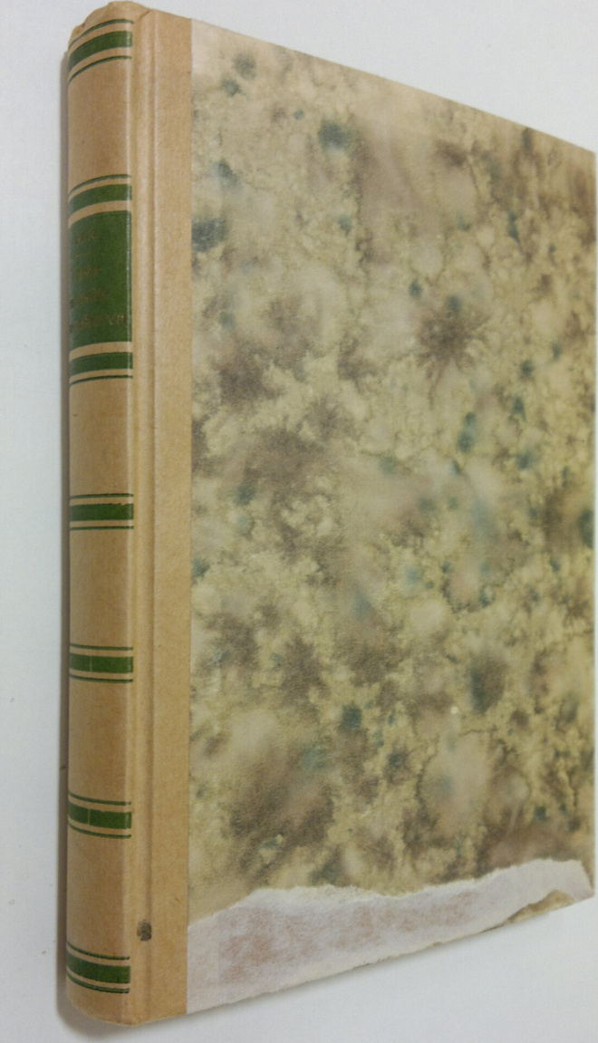 Jalmari Vaula : Takametsän mustakorva : eläintarina