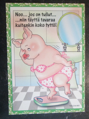 KULKEMATON PUNNITUS MARLEENA ANSIO