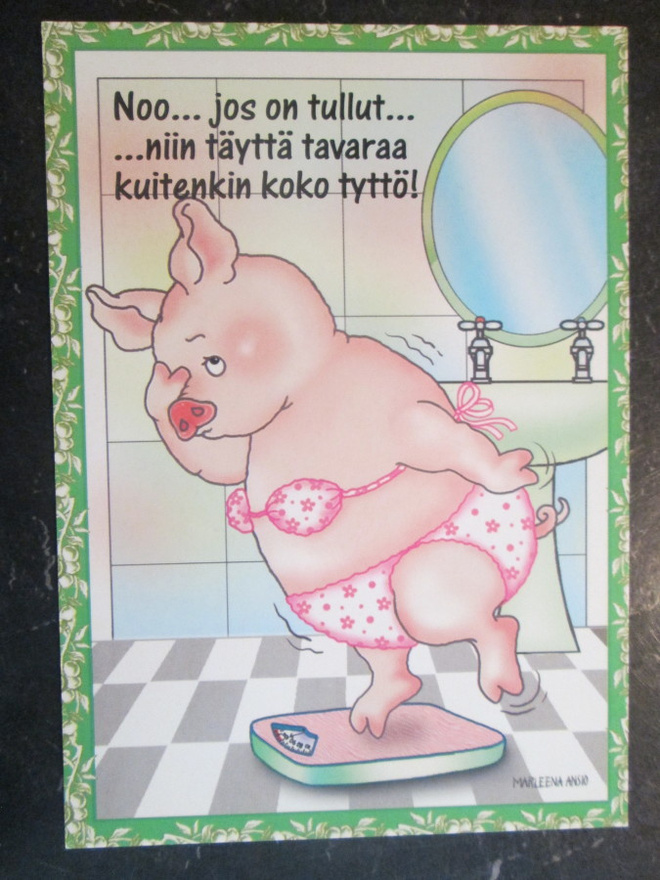 KULKEMATON PUNNITUS  MARLEENA ANSIO