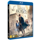 Fantastic Beasts and Where To Find Them - (Blu-ray) - pikkukuva 2