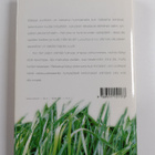 Sari Malkamäki : Sunnuntaina kahdelta : novelleja - pikkukuva 2