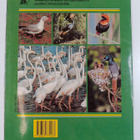 David Bristow ym. : Birds of Southern Africa - pikkukuva 2