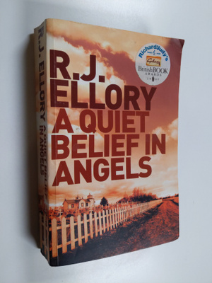 Roger Jon Ellory : A quiet belief in angels