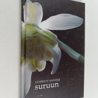 Lohdun sanoja suruun - pikkukuva 1