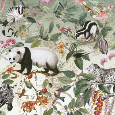 Barbara Behr: Panda ja muut eläimet (neliökortti)