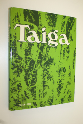 Rostislav Dormidontov : Taiga