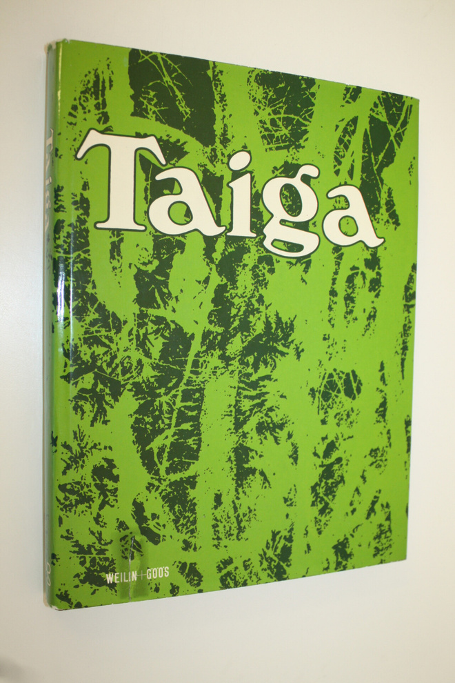 Rostislav Dormidontov : Taiga