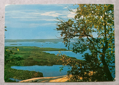 Lieksa, Koli