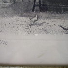 Simo Hannula  TORIPÄIVÄ  Grafiikka vuodelta 1955 - pikkukuva 4