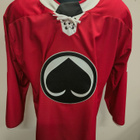 Dominic Turgeon #71 Porin Ässät Game worn - pikkukuva 2
