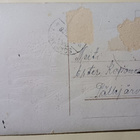 Lapsi ja koira tuovat havuja jouluksi, p. 1928 - pikkukuva 2