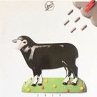 OPUS: Solo * EUR 1985 - pikkukuva 1