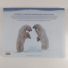 Bernd Römmelt : Treasures of the North - pikkukuva 2