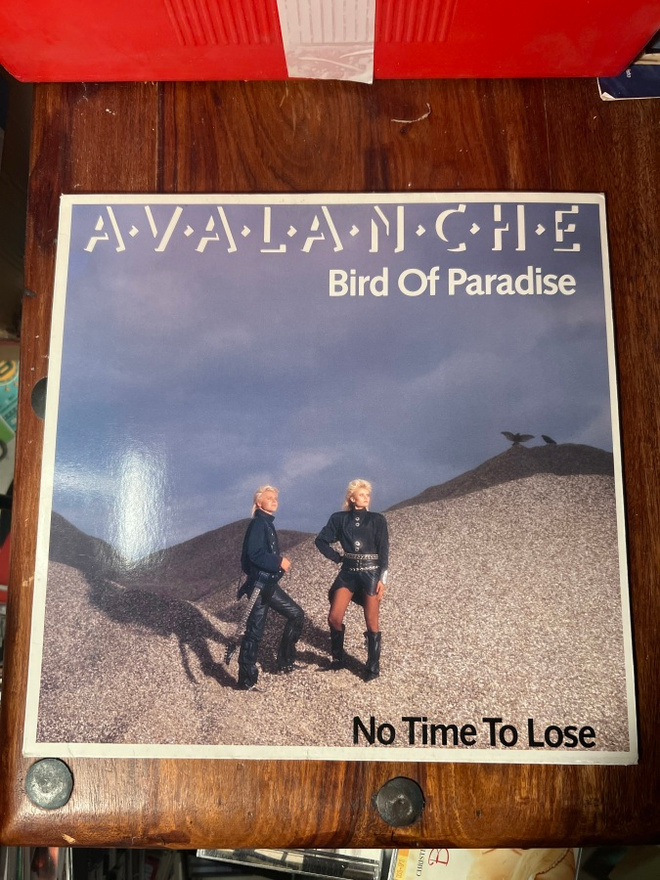 Avalanche - Bird Of Paradise 12” Maxi single