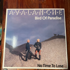 Avalanche - Bird Of Paradise 12” Maxi single - pikkukuva 1