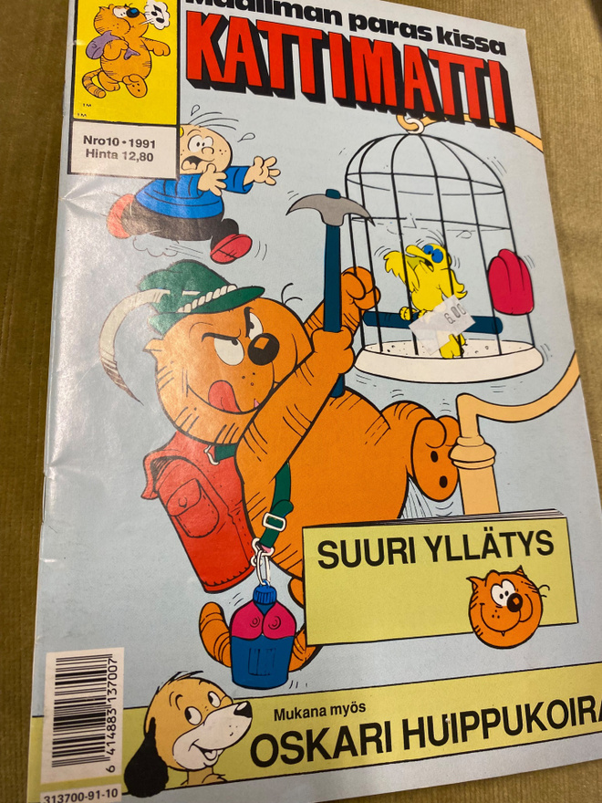 Kattimatti 10 1991