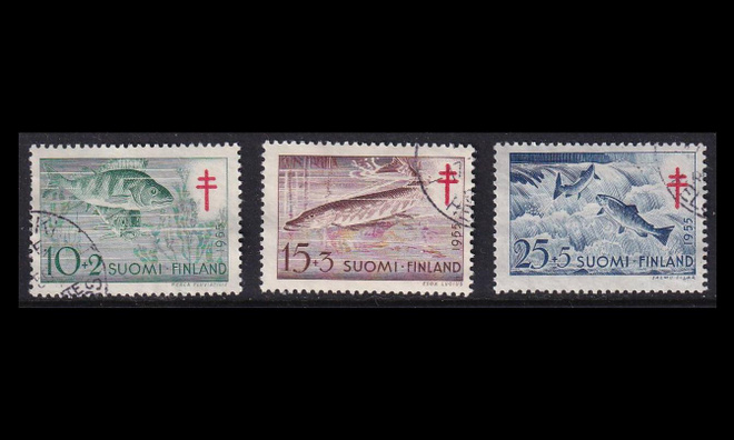 443-5 o Tuberkuloosi kaloja (1955)
