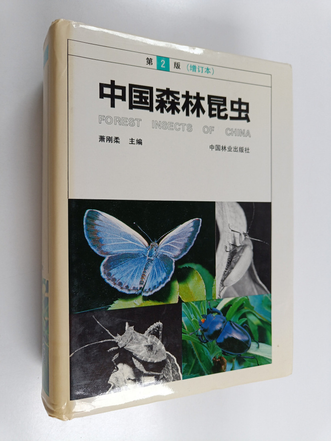 Xiao Gangrou : Zhong Guo Sen Lin Kun Chong - Forest insec...
