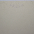 VANHA Valokuva Viikinasaari Tampere 1920-l - pikkukuva 2