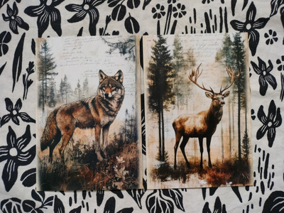 ~Eläin kortti~ 2kpl