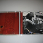 Kid Rock - Devil Without A Cause (CD) - pikkukuva 3