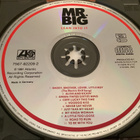 Mr. BIG - Lean Into It - pikkukuva 4
