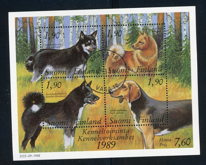 1989 Kennel BL5 EpLo Vaasa 17.3.1989